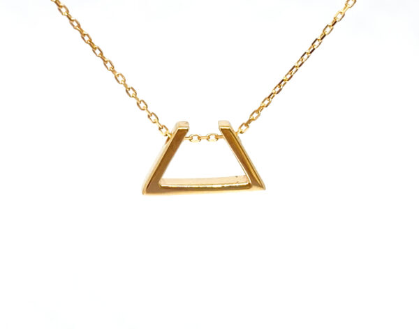 Auksinė grandinėlė su pakabuku  42-45 cm